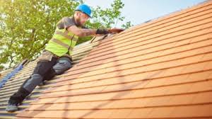 Best Roof Moss and Algae Removal  in San Ramon, CA