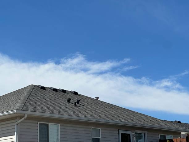 Best Rubber Roofing (EPDM, TPO)  in San Ramon, CA